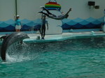 DSCF0168.JPG