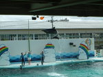 DSCF0173.JPG
