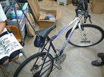 DSCF0223.JPG