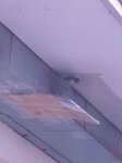 IMG_20130718_100702.jpg