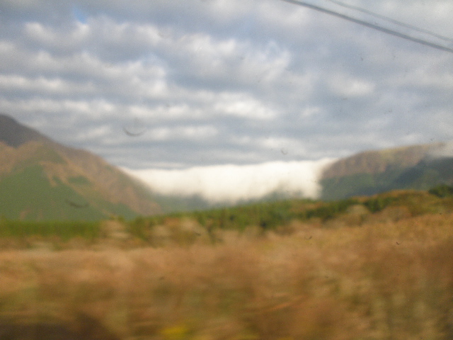 PA301050.JPG