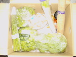 PICT0047.JPG